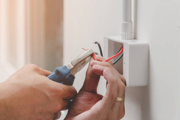 Best Electrical Panel Upgrades  in Ho Ho Kus, NJ